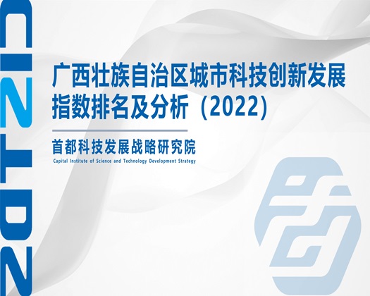 操老肥逼【成果发布】广西壮族自治区城市科技创新发展指数排名及分析（2022）